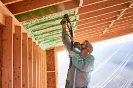 Best Eco-Friendly or Green Insulation Solutions  in Wyndham, VA